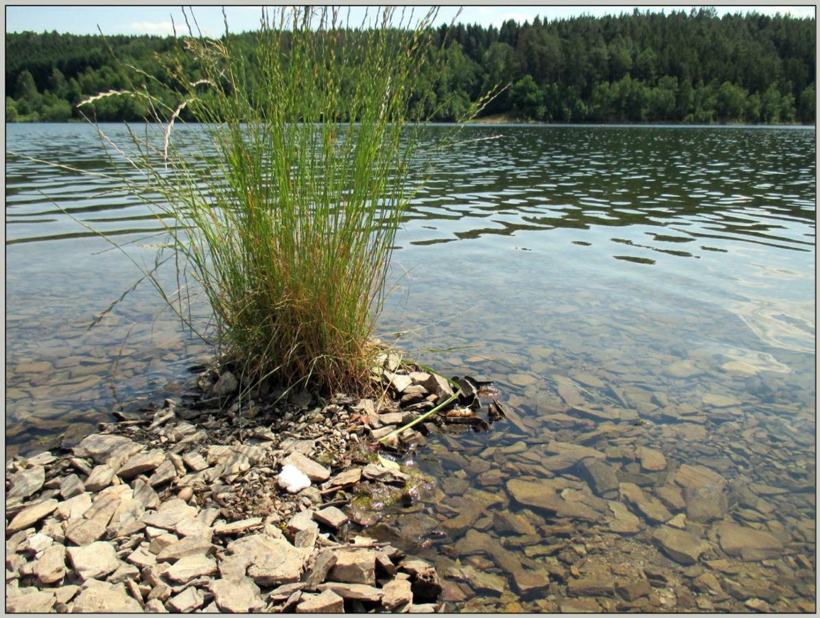 Bungalow Direkt Am Wasser Zeulenroda-Triebes Extérieur photo
